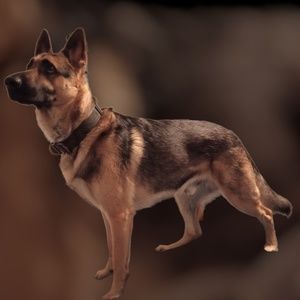 Meet your Posher, Breane